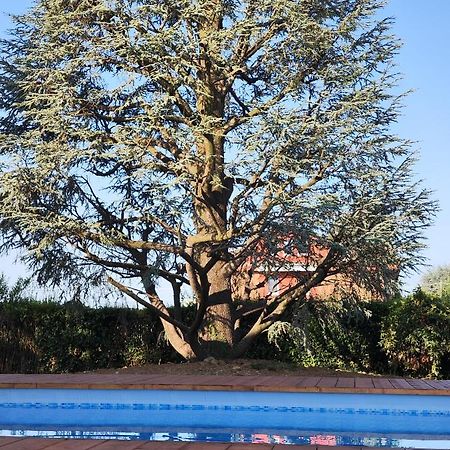 Villa Cresto Gaglianico Bagian luar foto